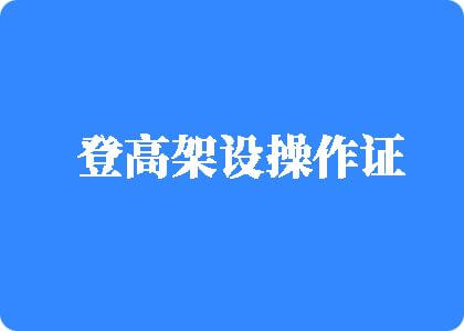 大黑比网一区二区登高架设操作证